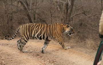 Amazing 7 Days 6 Nights Jaipur Offbeat Tour Package