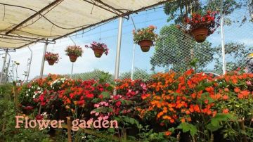 Best 7 Days 6 Nights Thekkady Tour Package