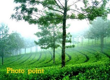 Best 7 Days 6 Nights Thekkady Tour Package