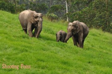 Best 7 Days 6 Nights Thekkady Tour Package