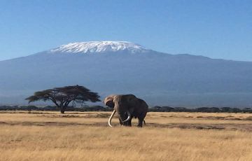 Pleasurable 7 Days 6 Nights Masai Vacation Package