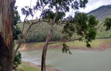 Pleasurable 3 Days 2 Nights Munnar Family Tour Package