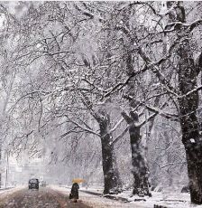 4 Days Gulmarg, Pahalgam with Srinagar Luxury Trip Package