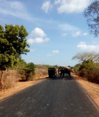 6 Days 5 Nights Kandy, Nuwara Eliya with Bentota Family Tour Package