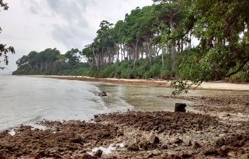 Family Getaway 5 Days 4 Nights Port Blair and Havelock Island Vacation Package