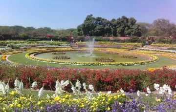 Srinagar, Gulmarrg and Sonmarg Tour Package for 5 Days 4 Nights