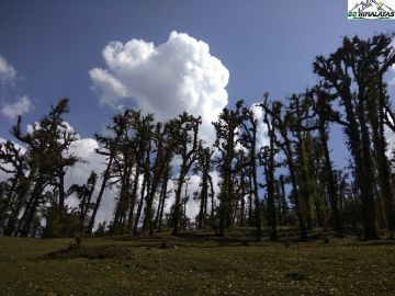 Magical 2 Days KathgodamRishikesh to Brahmatal Friends Tour Package