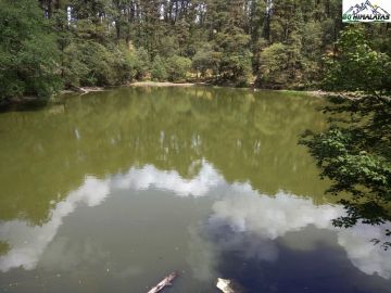 Magical 2 Days KathgodamRishikesh to Brahmatal Friends Tour Package