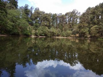 Magical 2 Days KathgodamRishikesh to Brahmatal Friends Tour Package