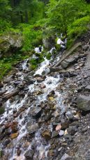 Memorable 6 Days Delhi to Kheerganga Trip Package
