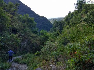 Heart-warming 2 Days Dehradun to Nagtibba Top Nature Trip Package