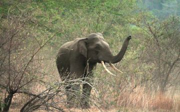 3 Days Rishikesh to Haridwar Nature Tour Package