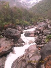 Ecstatic Rolep Honeymoon Tour Package for 2 Days 1 Night