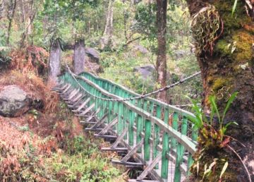 Ecstatic Rolep Honeymoon Tour Package for 2 Days 1 Night