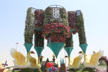 Memorable Dubai Friends Tour Package from Delhi