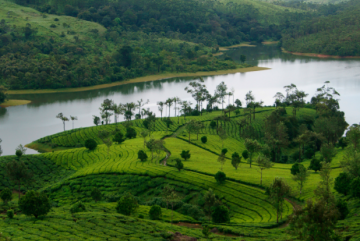 Experience 5 Days 4 Nights Munnar Holiday Package