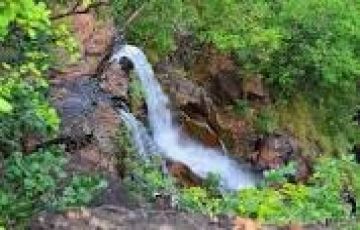 Ecstatic 3 Days 2 Nights Pipariya Trip Package