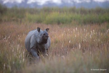 Heart-warming 3 Days Guwahati Vacation Package