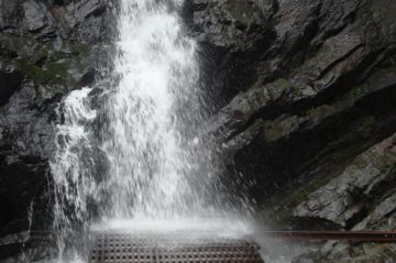 4 Days 3 Nights Bengaluru to Coorg Offbeat Holiday Package