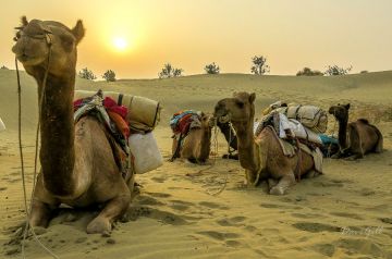 Heart-warming 5 Days Jaipur - Pushkar - Mount Abu - Udaipur Trip Package