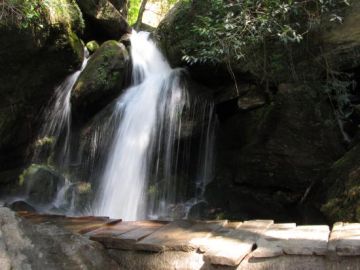 Amazing 8 Days Shimla Beach Trip Package Amazing 8 Days Shimla Beach Trip Package