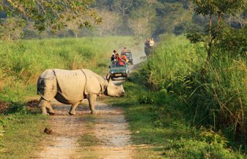 9 NIGHTS AND 10 DAYS ASSAM ARUNACHAL MEGHALAYA PACKAGE FOR 6