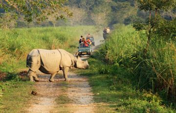 9 NIGHTS AND 10 DAYS ASSAM ARUNACHAL MEGHALAYA PACKAGE FOR 6