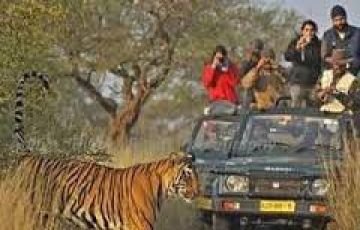 8 Days 7 Nights Nainital, Kausani, Ranikhet and Almora Vacation Package