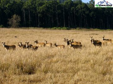 4 Days Nainital and Jim Corbett National Park Offbeat Holiday Package