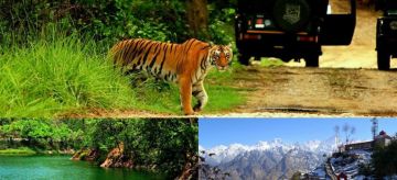 Beautiful 5 Days Nainital Honeymoon Holiday Package