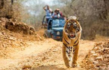 6 Days 5 Nights Rishikesh Hill Trip Package
