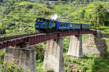 5 Days 4 Nights Ooty, Coonoor and Coorg Friends Vacation Package