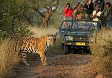 6 Days 5 Nights Mysuru with Ooty Religious Trip Package