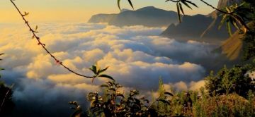 Pleasurable 5 Days MUNNAR Water Activities Tour Package