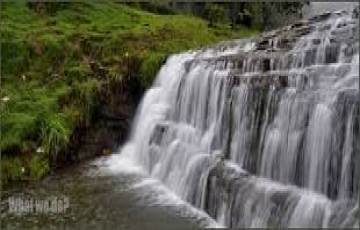 Ooty and Kodaikanal Hill Stations Family Tour