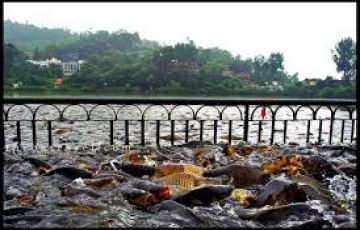 Magical 5 Days 4 Nights Shimla Nature Vacation Package