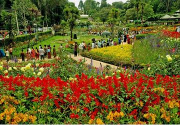KODAIKANAL TOUR 2 NIGHTS 3 DAYS
