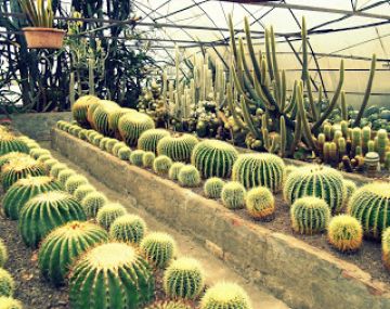 Beautiful Kalimpong Family Tour Package for 3 Days 2 Nights