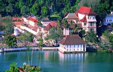 Heart-warming 4 Days Colombo to Nuwara Eliya Temple Vacation Package