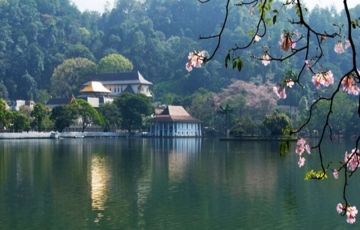 6 Days 5 Nights Bentota Culture Holiday Package