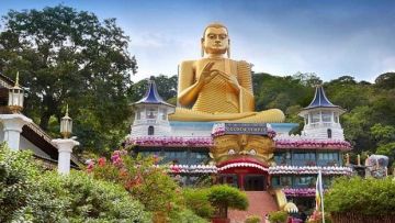 6 Days 5 Nights Nuwara Eliya Trip Package