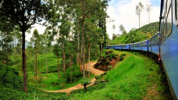 5 Days 4 Nights Bentota Forest Tour Package