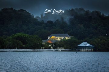 Best 8 Days Negombo to Sigiriya Culture and Heritage Tour Package