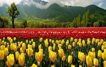 Beautiful 7 Days 6 Nights Vaishnodevi Tour Package