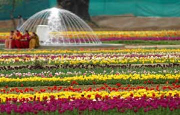 Family Getaway 5 Days 4 Nights Srinagar Family Holiday Package