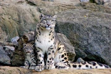 4 Days Srinagar Family Vacation Tour Package