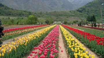 Ecstatic Pahalgam Srinagar Religious Tour Package from Srinagar