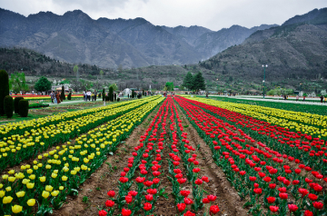 Pleasurable 4 Days 3 Nights Kashmir Nature Tour Package