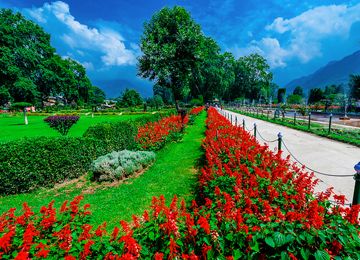 Ecstatic Kashmir Romantic Tour Package for 5 Days 4 Nights from Srinagar