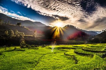 Pleasurable 5 Days JIM CORBETT Trip Package